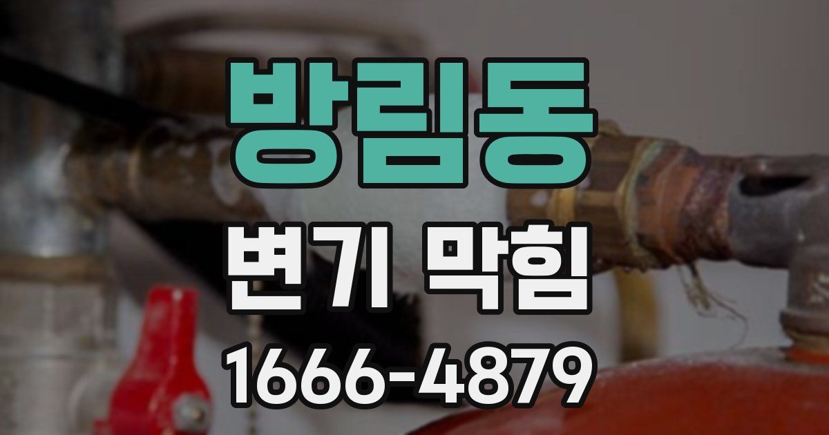 방림동 변기 막힘