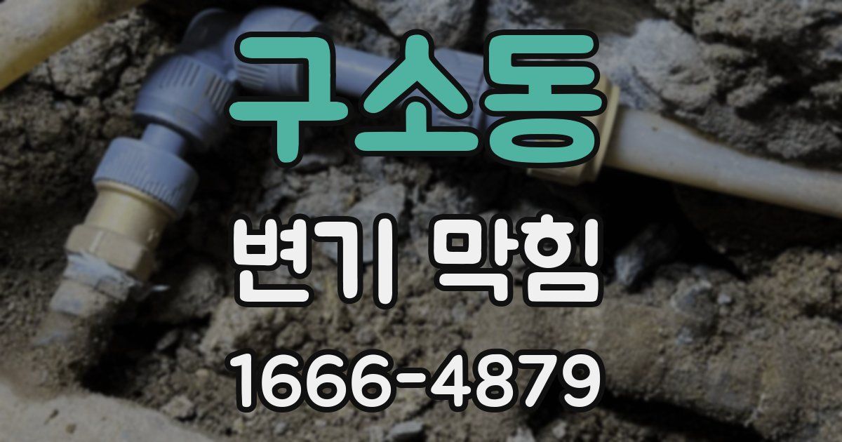 구소동 변기 막힘