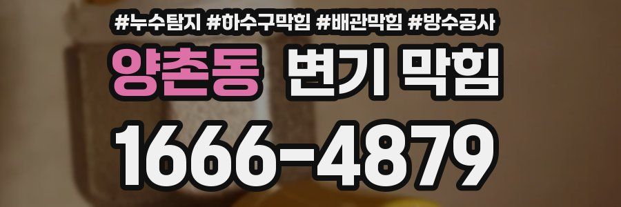 양촌동 변기 막힘