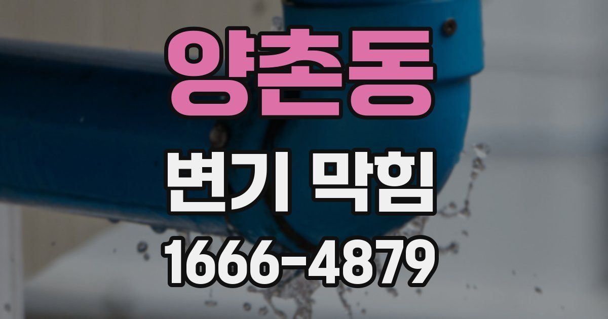 양촌동 변기 막힘