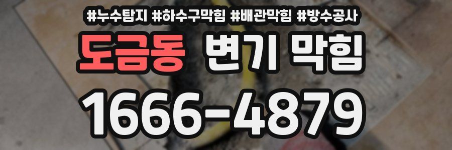 도금동 변기 막힘