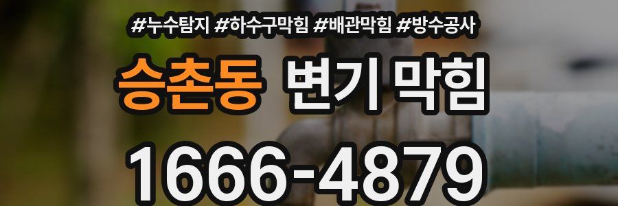 승촌동 변기 막힘