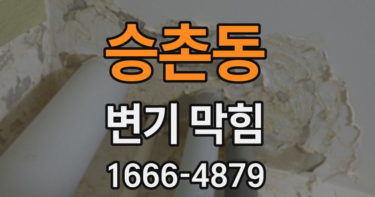 승촌동 변기 막힘