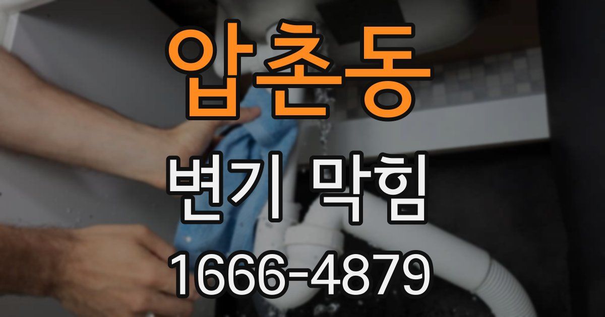 압촌동 변기 막힘