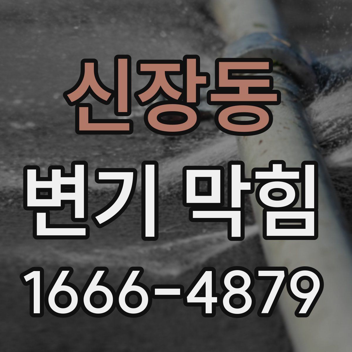 신장동 변기 막힘