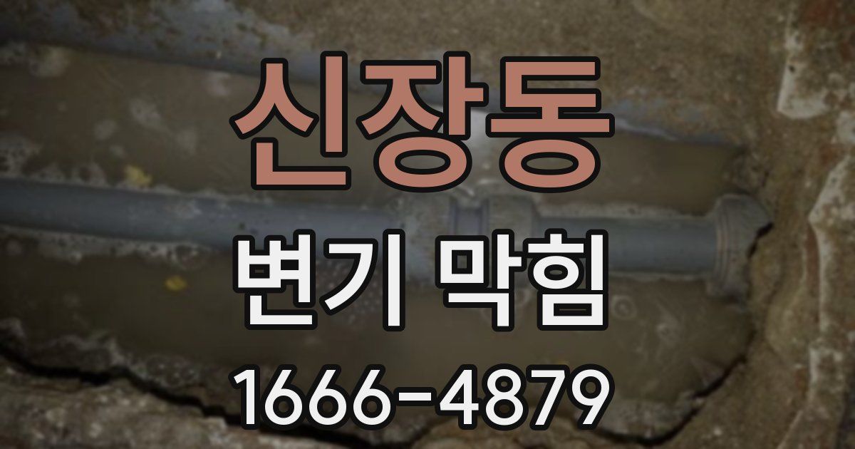 신장동 변기 막힘