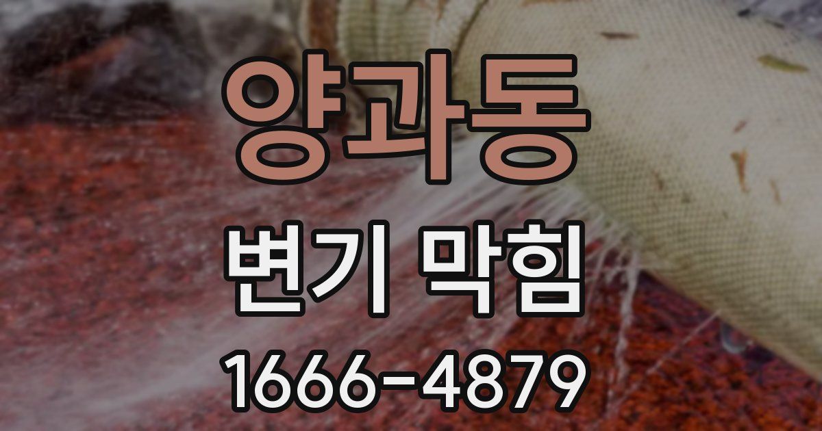 양과동 변기 막힘