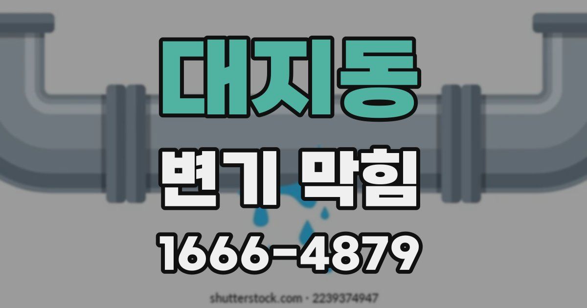 대지동 변기 막힘