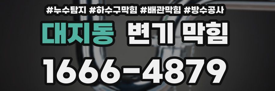 대지동 변기 막힘