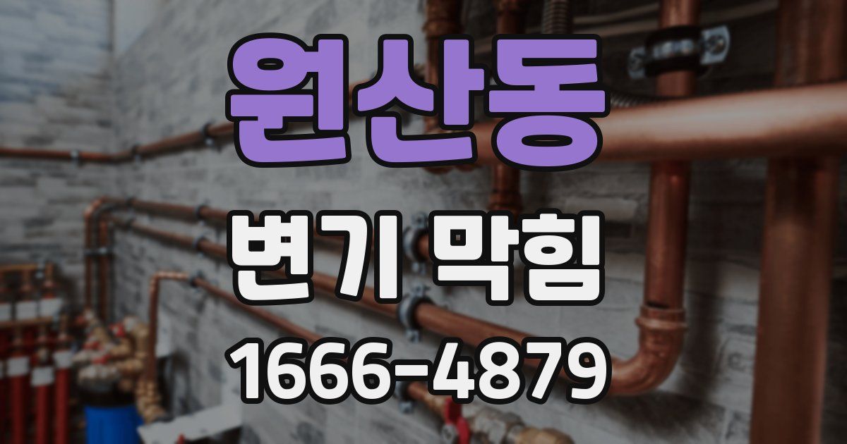 원산동 변기 막힘