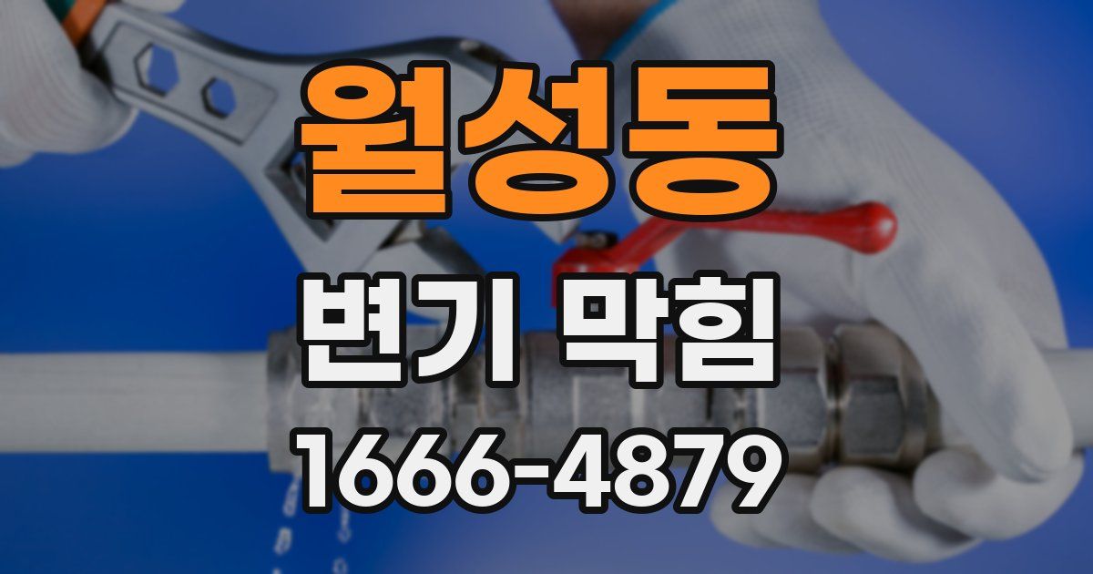 월성동 변기 막힘