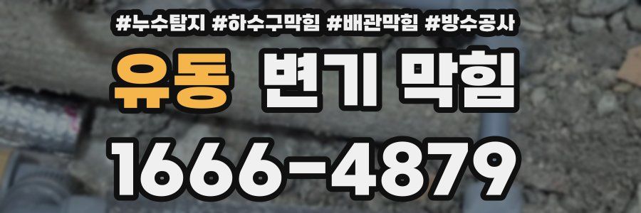 유동 변기 막힘