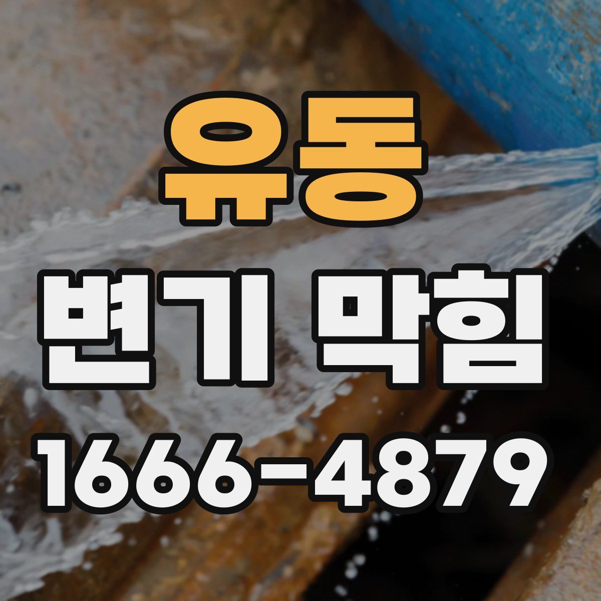 유동 변기 막힘