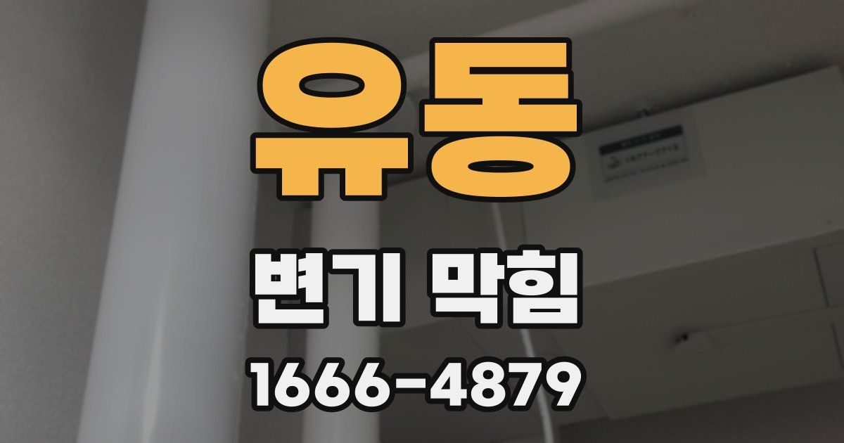 유동 변기 막힘