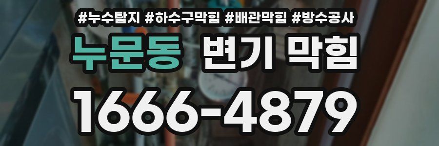 누문동 변기 막힘