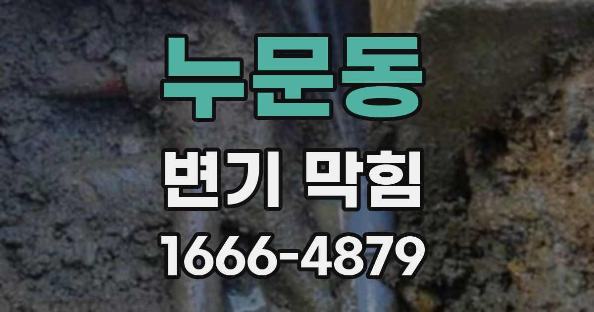 누문동 변기 막힘