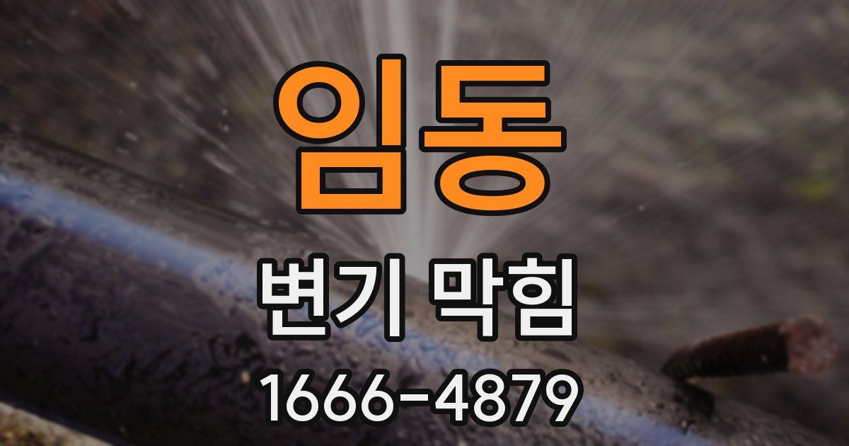 임동 변기 막힘