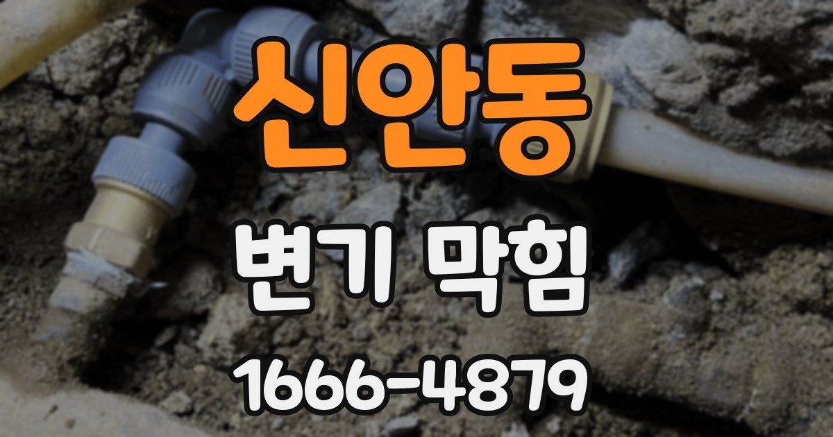 신안동 변기 막힘