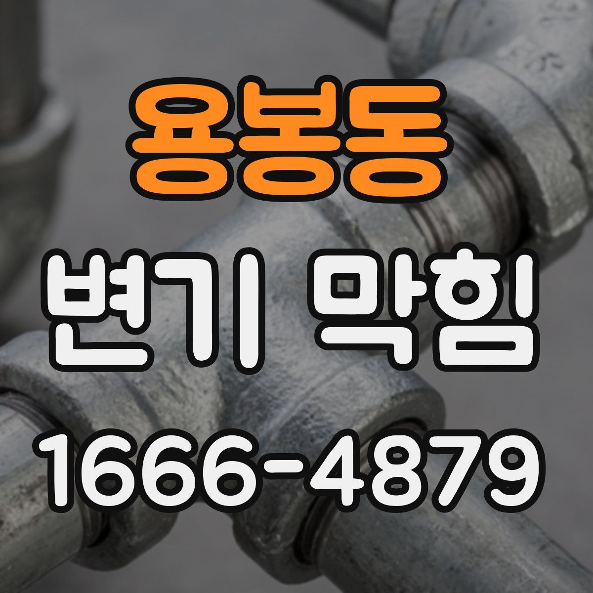 용봉동 변기 막힘