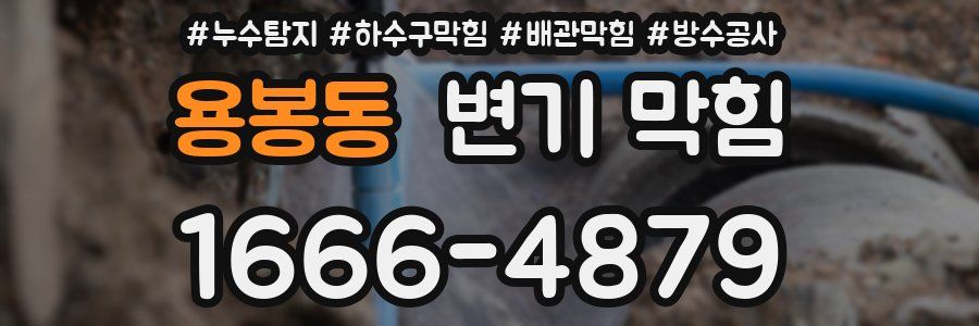 용봉동 변기 막힘