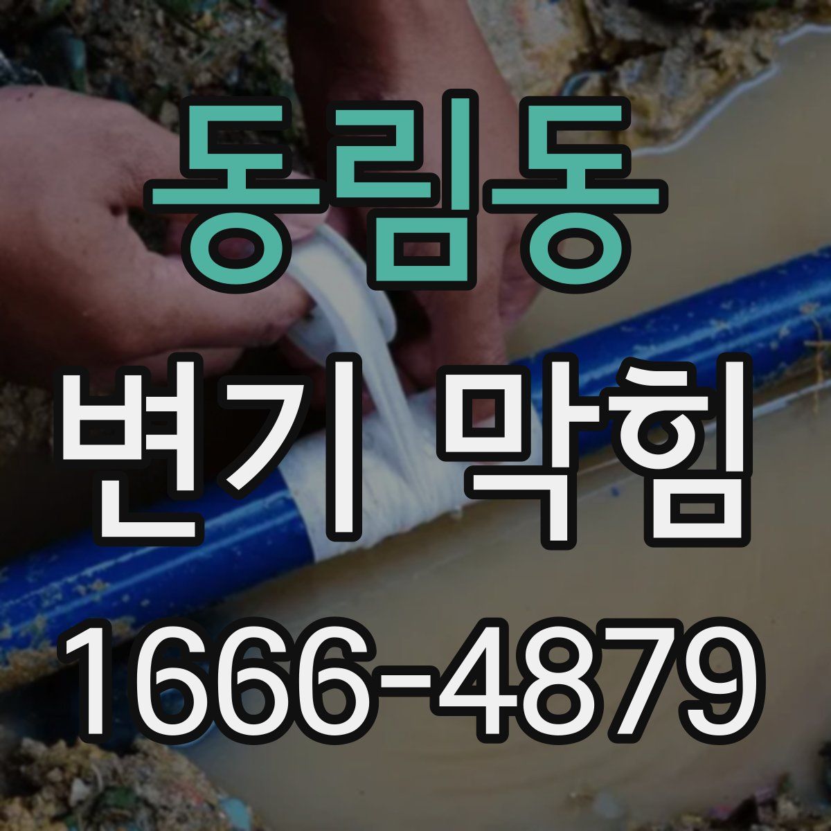 동림동 변기 막힘