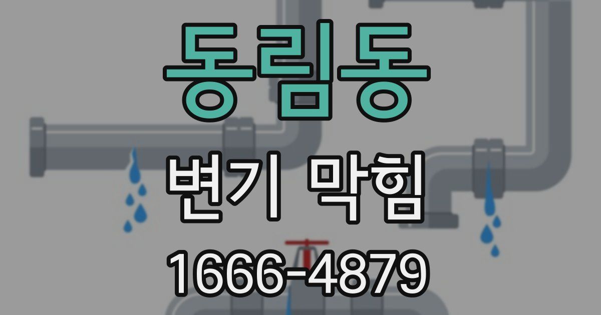 동림동 변기 막힘