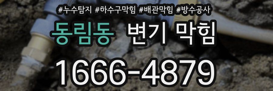 동림동 변기 막힘