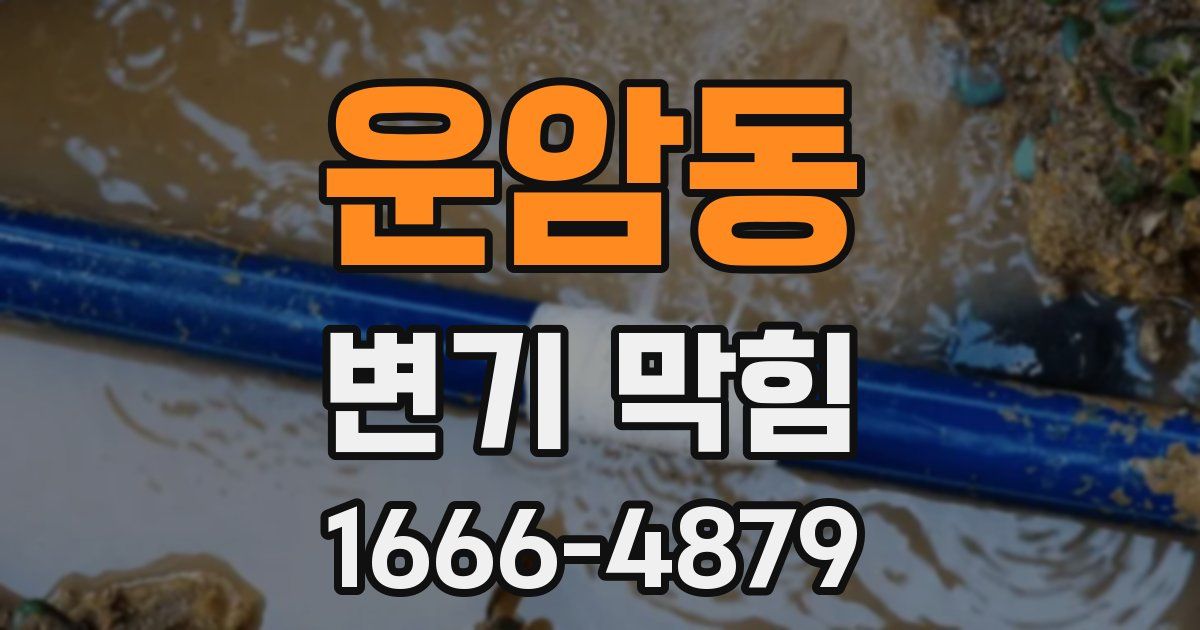 운암동 변기 막힘