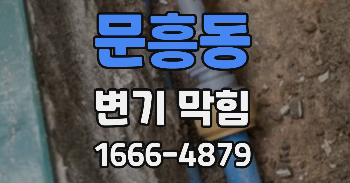 문흥동 변기 막힘