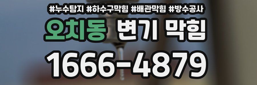 오치동 변기 막힘