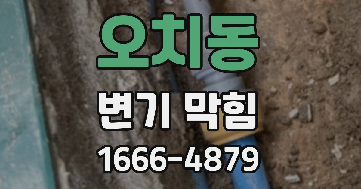 오치동 변기 막힘