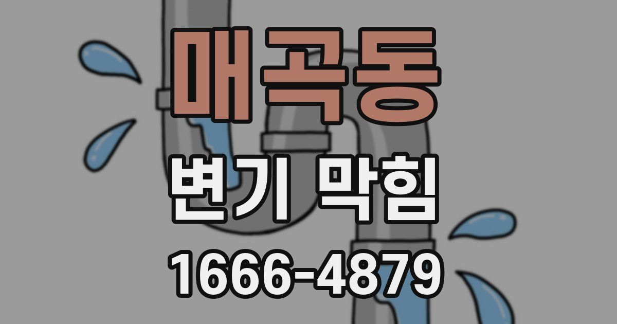 매곡동 변기 막힘