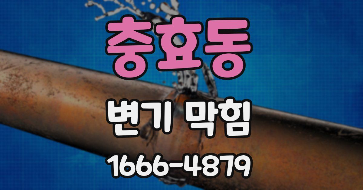 충효동 변기 막힘