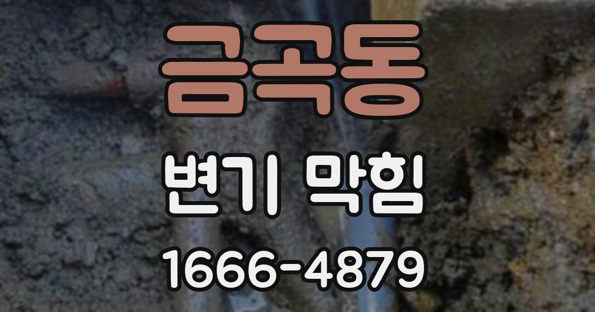 금곡동 변기 막힘