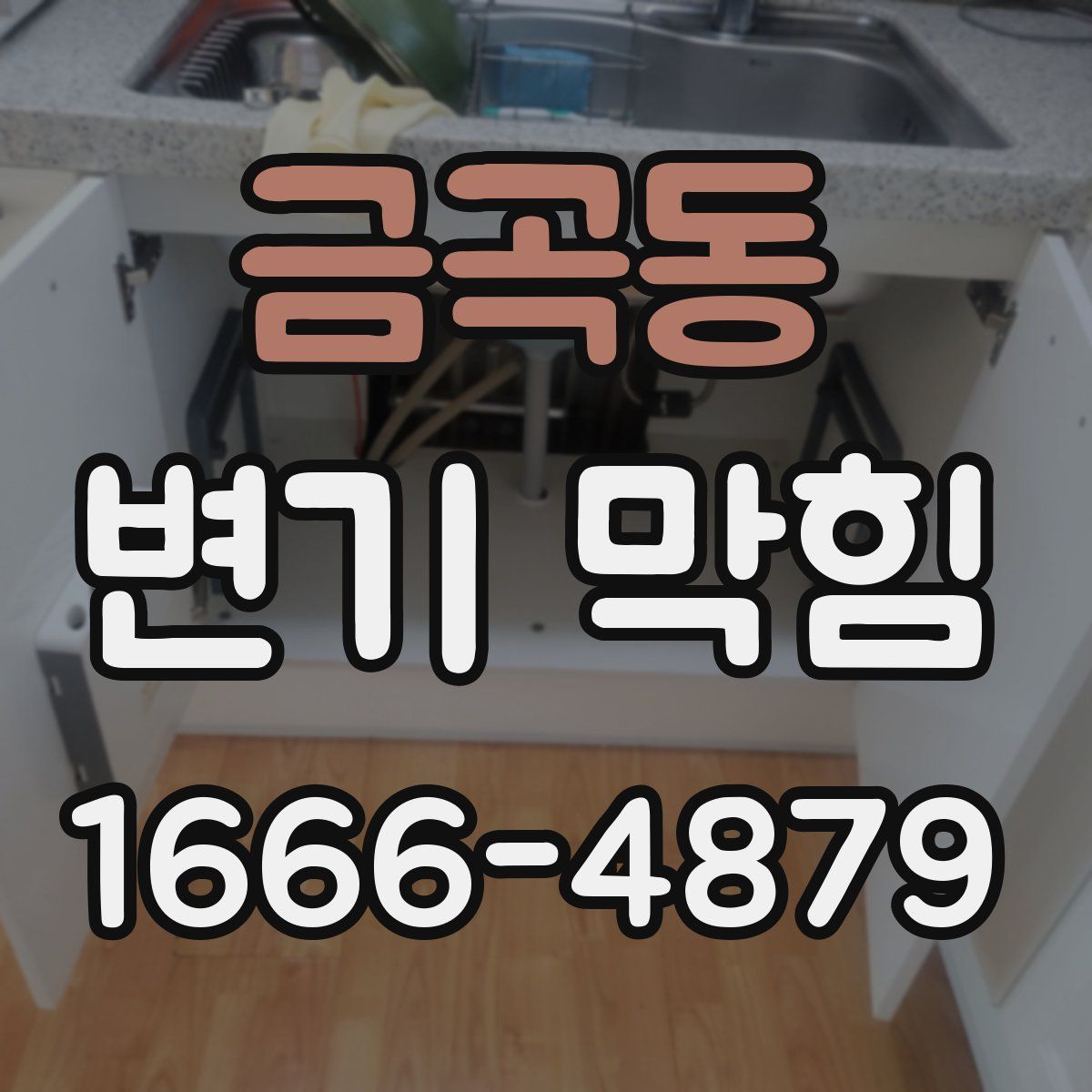 금곡동 변기 막힘