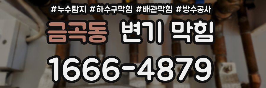 금곡동 변기 막힘