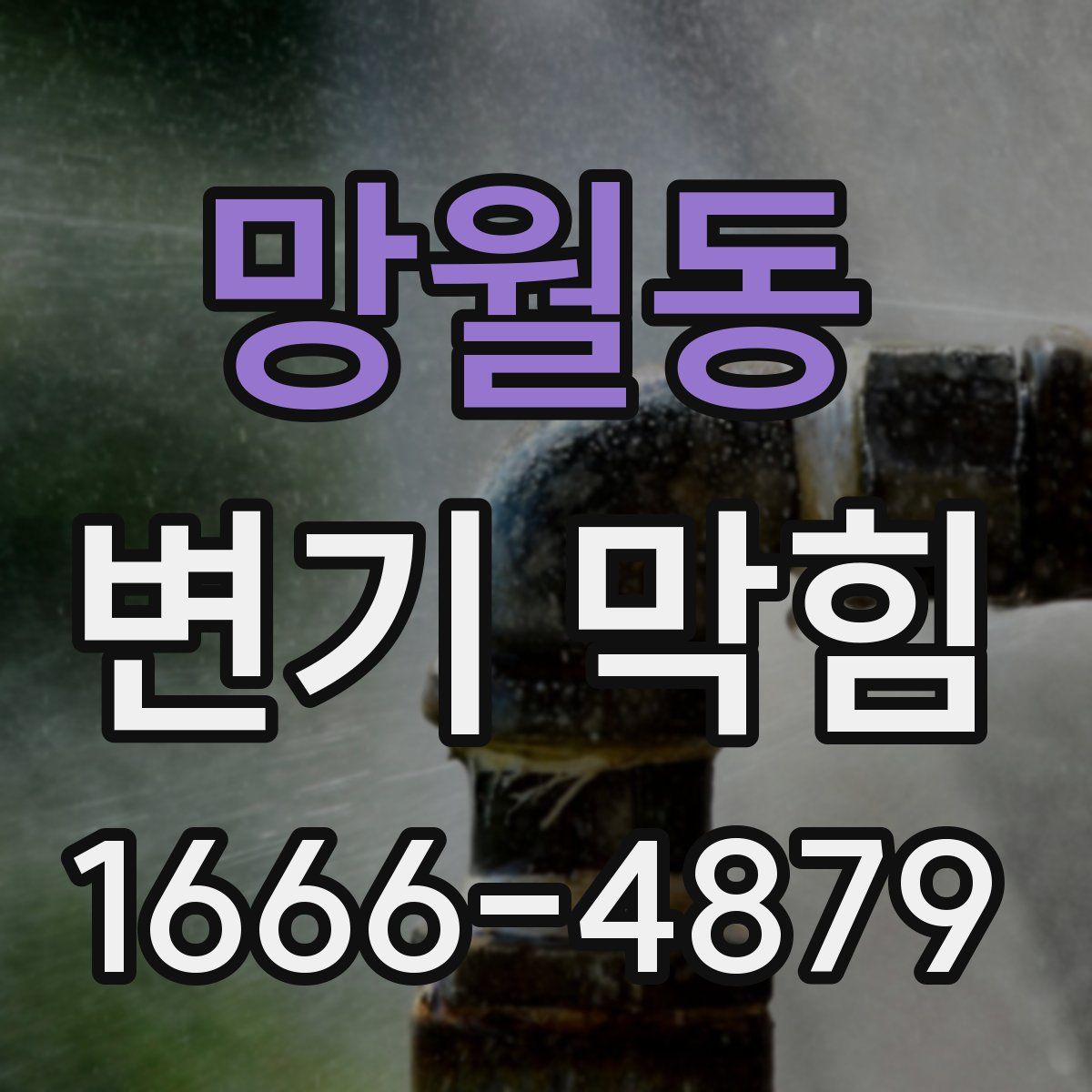 망월동 변기 막힘