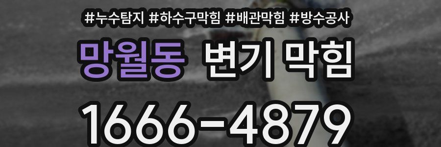 망월동 변기 막힘