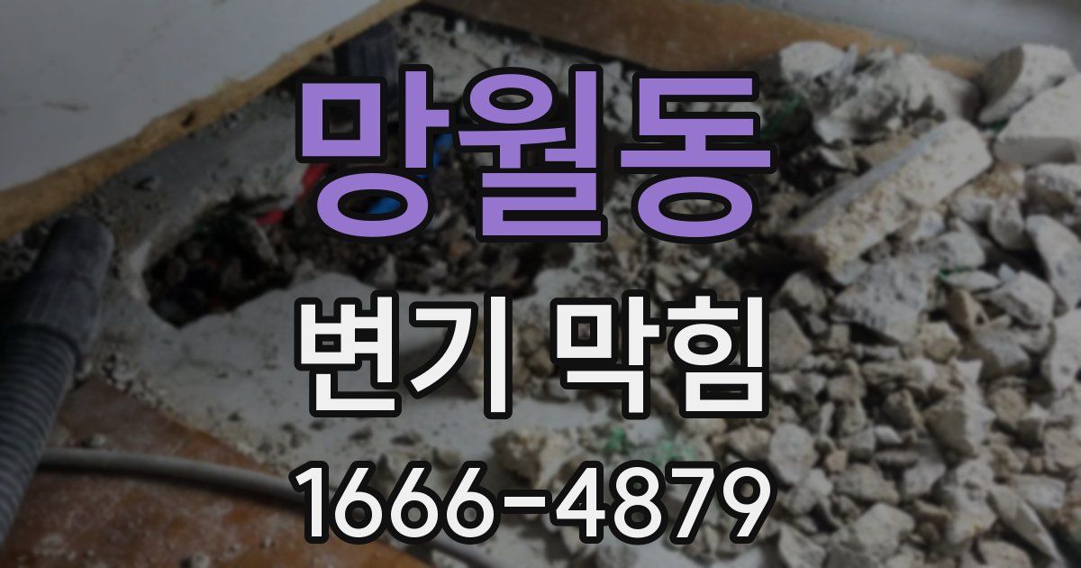 망월동 변기 막힘