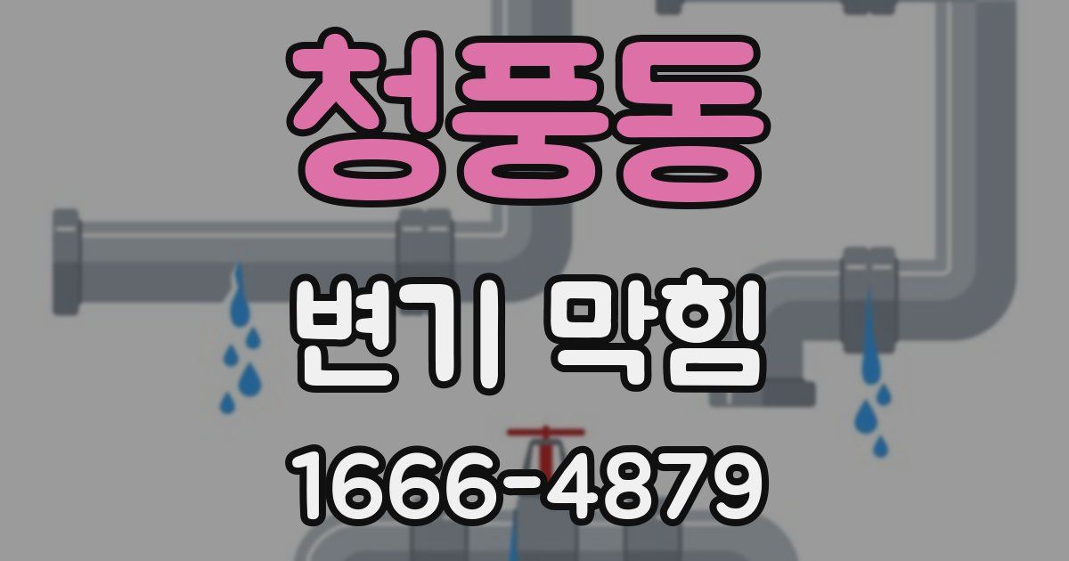 청풍동 변기 막힘