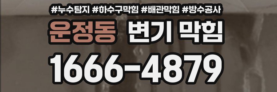 운정동 변기 막힘