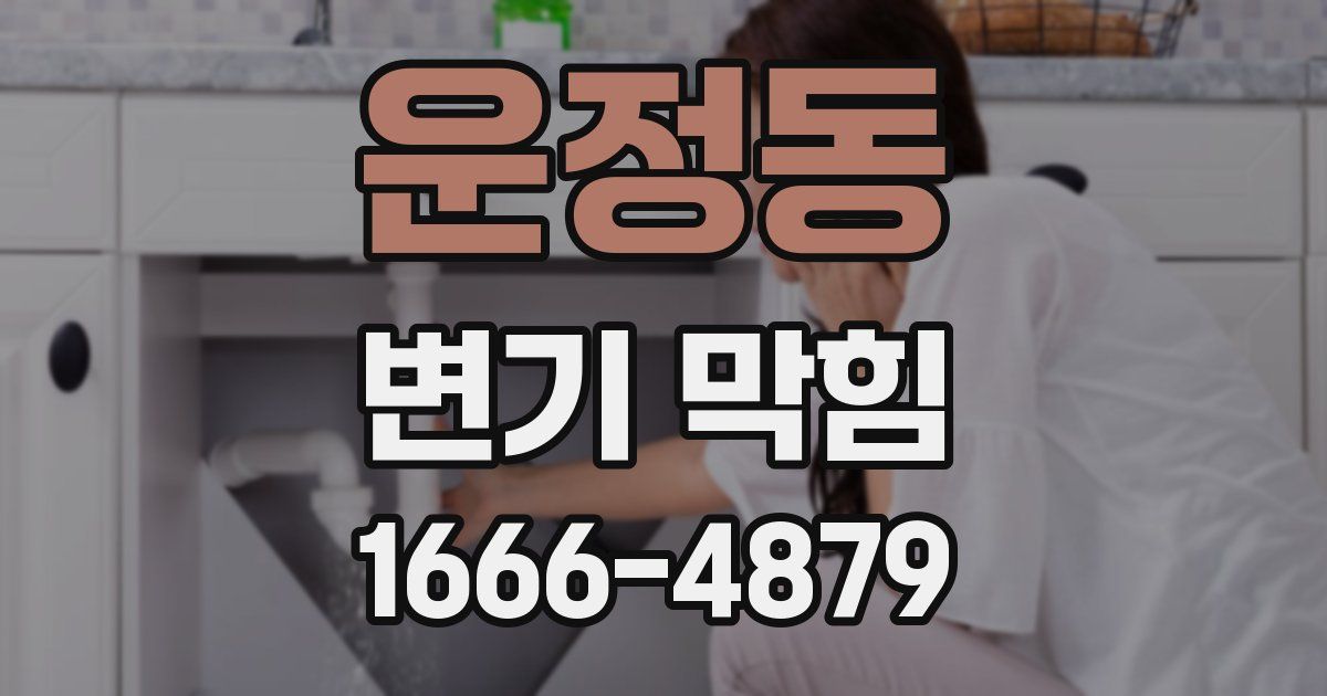 운정동 변기 막힘