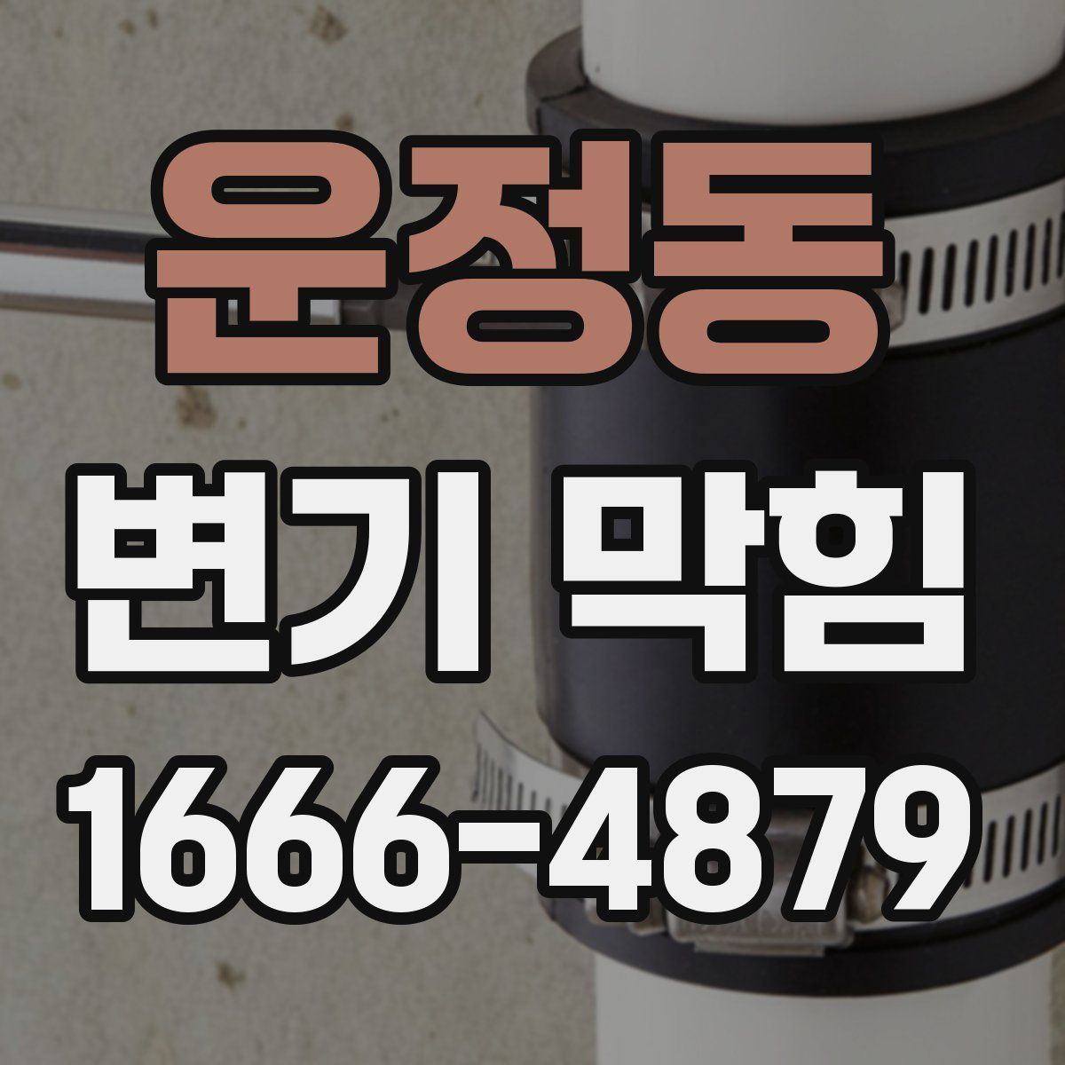 운정동 변기 막힘