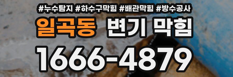일곡동 변기 막힘
