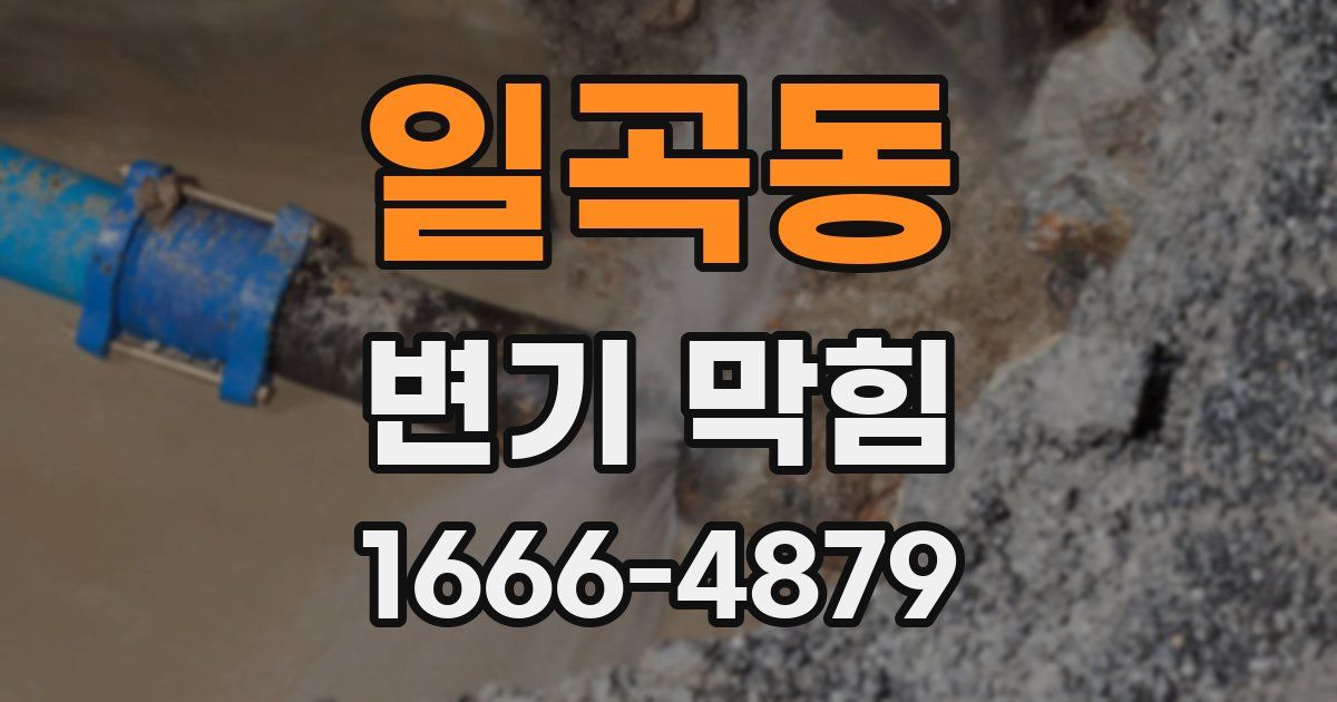 일곡동 변기 막힘