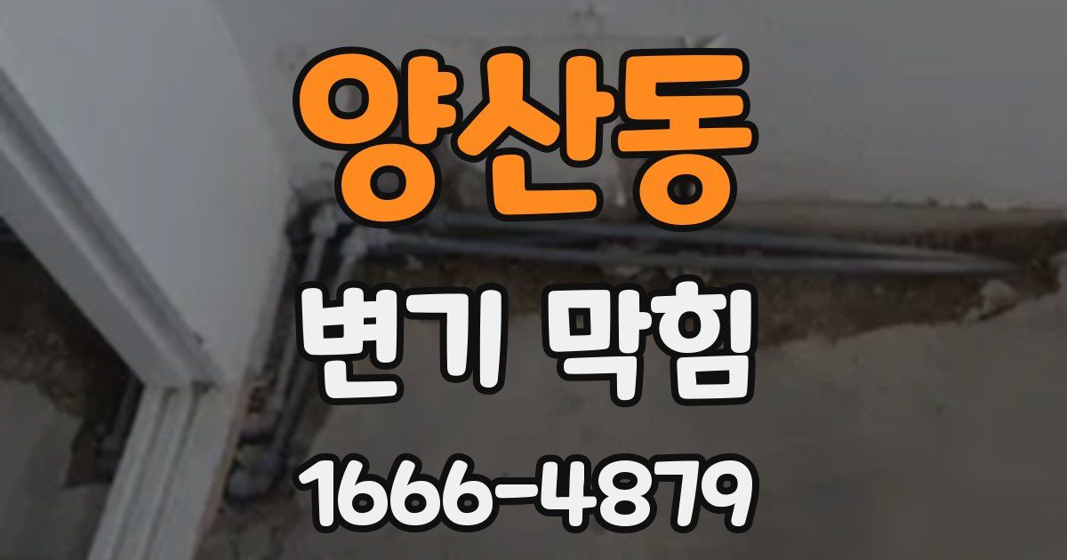 양산동 변기 막힘