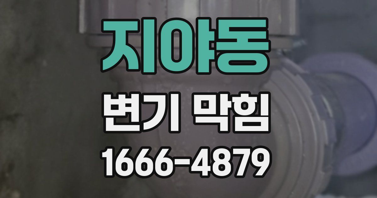 지야동 변기 막힘