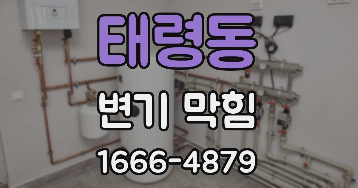 태령동 변기 막힘