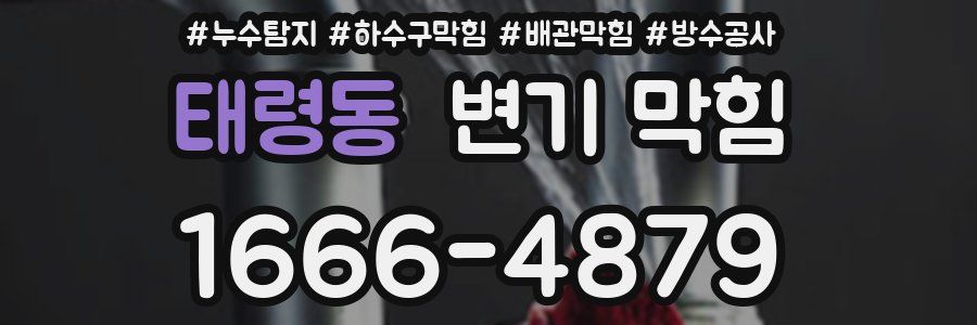 태령동 변기 막힘