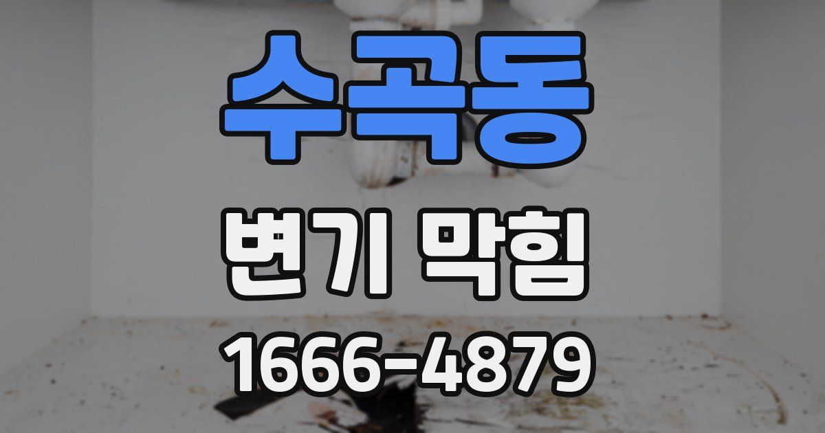 수곡동 변기 막힘